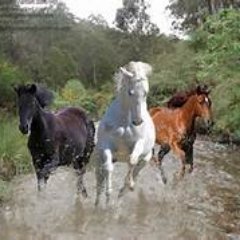 deepend39863764's profile picture. 