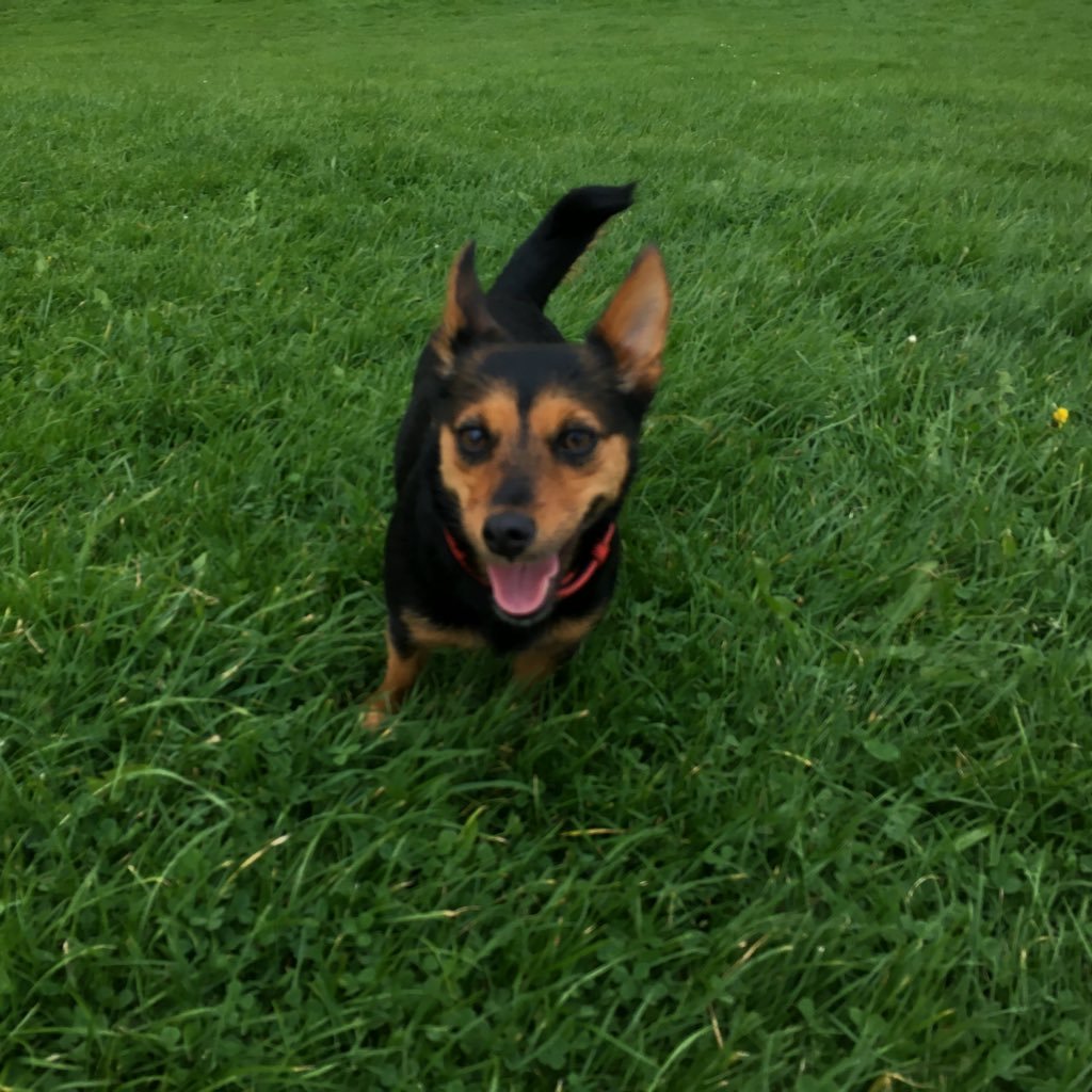 Jimibhoy9inarow's profile picture. 