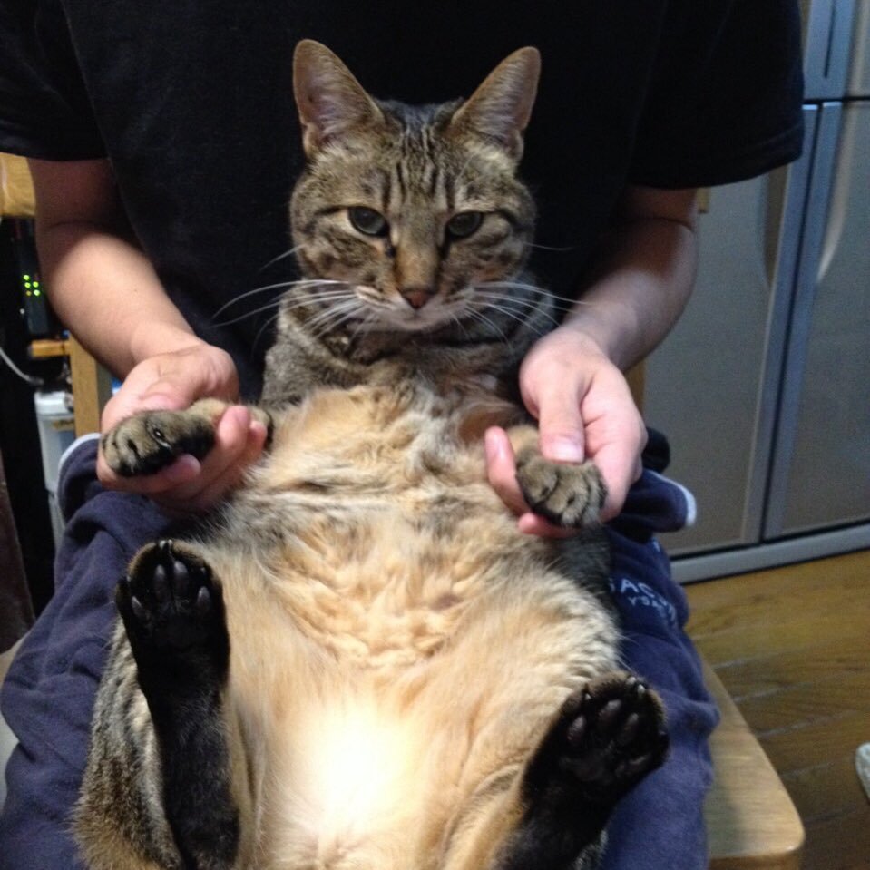 _Tasogaradio's profile picture. 洋楽、アニソン、ゲーム大好き。