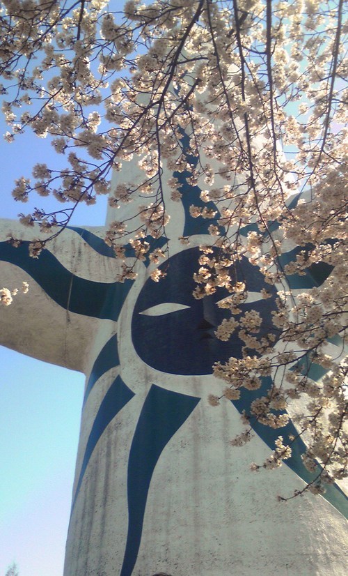 hdchief's profile picture. 特にありません。