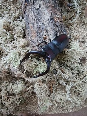 naonana1230's profile picture. お酒好き！