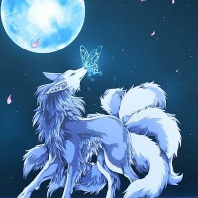 こんぎつね Kongitsune Kon Twitter