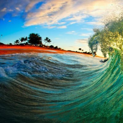 dimanpa72's profile picture. 