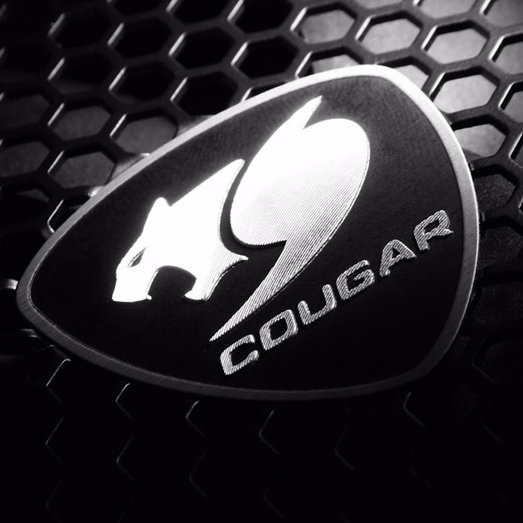 CougarGamingAU's profile picture. Cougar Gaming ESPORTS Scene for  Australian / OCE community - Prize Giveaways - Team Recruitment  - Cougar sponsored tournaments (coming soon)
Discord: 4QgBUJ2