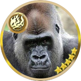 versionup1's profile picture. コラボ目当てで星穹列車に乗車した新人開拓者兼マスター 変なことばっか言ってる鍵垢→@versionup4