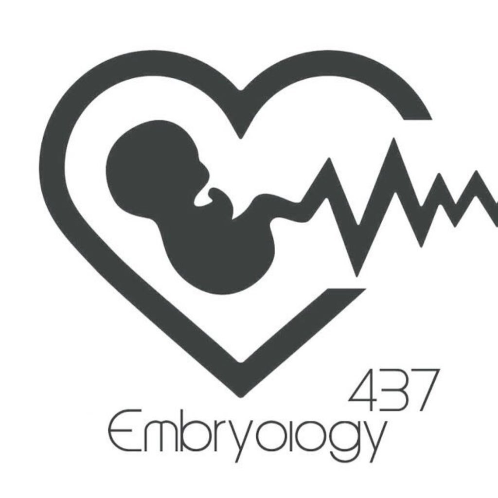 Embryology team of batch #med437 👶🏻💜 | college of medicine @_KSU | contact us: Embryologyteam437@gmail.com