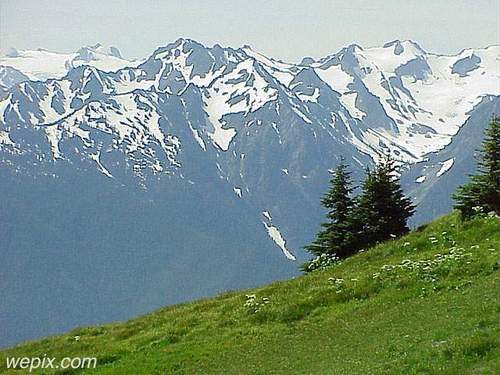 Maanajah's profile picture. 