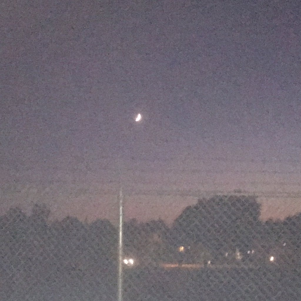 gryphenslayer's profile picture. certified movie bloke