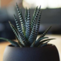 Atbash Profile