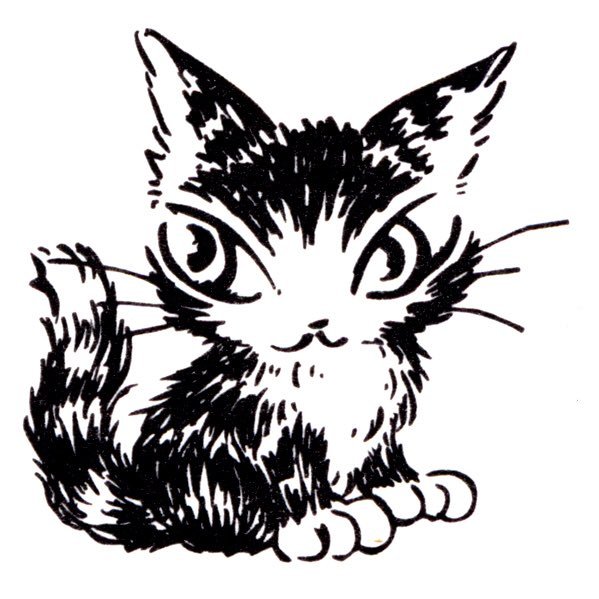 ZUN20055863's profile picture. 横浜のボードゲームスペース『はまりばカフェ』で第2、4日曜日にボドゲ会を開きます イベント情報はこちらから⇒https://t.co/QQ0m0vpUNZ