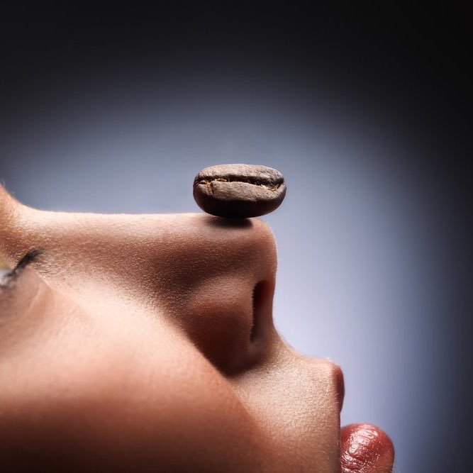 vmplast's profile picture. Plastic Surgeon (in love with beauty)