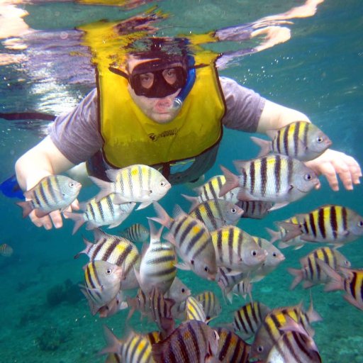 voss749's profile picture. MA Poli Sci FAU.