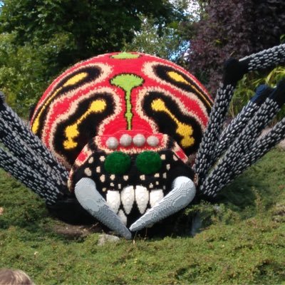 aromziur's profile picture. 