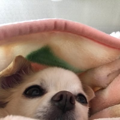 oFKJGPs8gfrSqPA's profile picture. 1995年生まれ/rps /よろしくお願いします          2次元3次元どちらも好きです