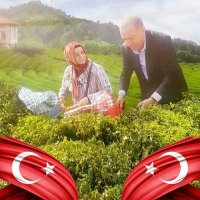 🌹GÖNÜL SULTAN🌹 Rize 🟢 🇹🇷 (@hremsultn) 's Twitter Profile