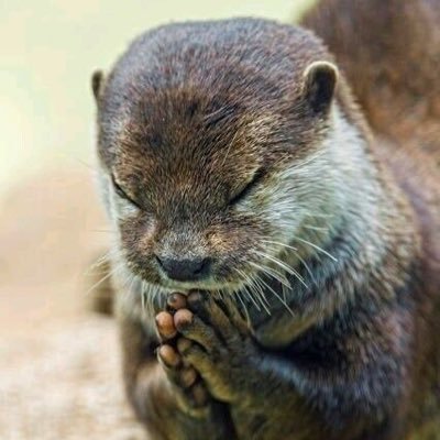 精神科の病院で働いています。アダルトチルドレン。生きずらい世界を生き易くする為に頑張ってます。自分らしく生きる為に。同じ悩みを持った人や自分と向き合いながら頑張っている人と繋がりたいです。