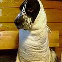 sho kondo - @ago800 - Twitter