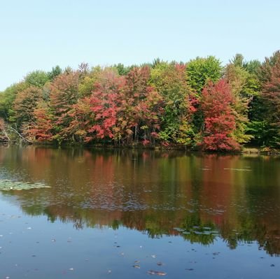 CLitzinger30's profile picture. 