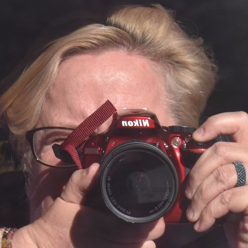 K_Chai's profile picture. I love movies, animals of all kinds especially my dog. I'm a total geek and think everyone should laugh so hard they pee their pants at least three times a week