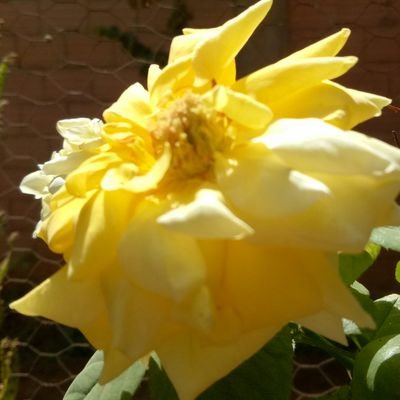 malieco's profile picture. Météorologie Actualités Affaires & Finances Technologie & Science Actualités Technologiques Espace