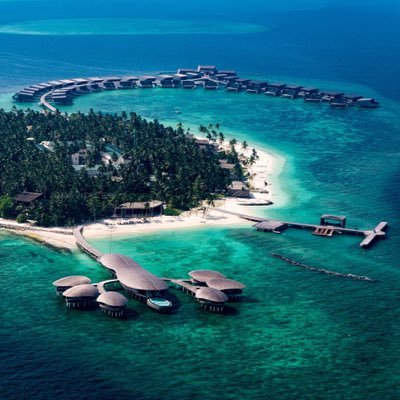 dlewphotography's profile picture. 