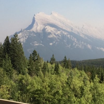 waingortgrado5's profile picture. We are grades 4 & 5 Spanish bilingual students. We are ready to take on the world!