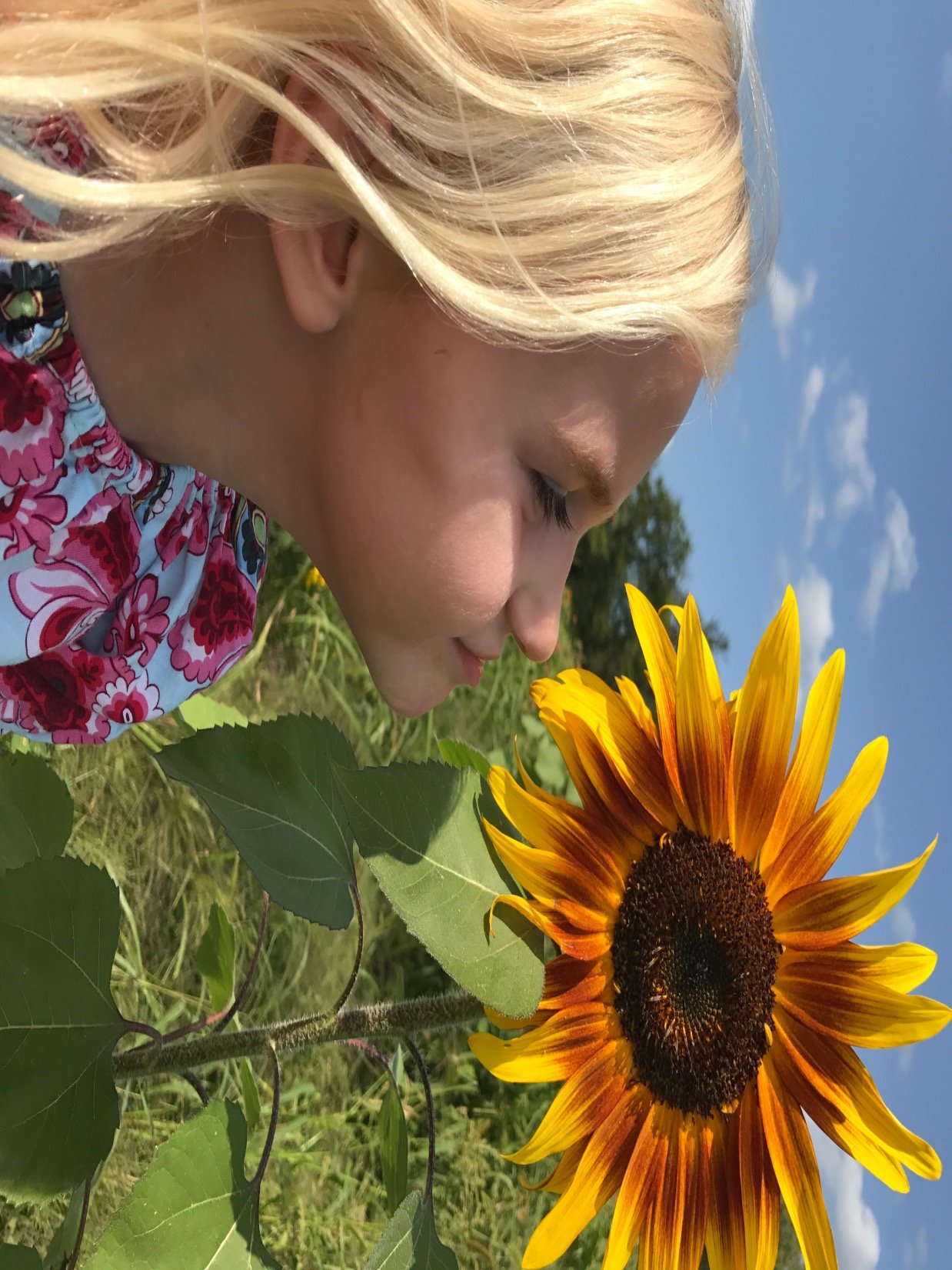 marcyseip2's profile picture. 