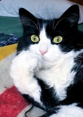 JackBartleby1's profile picture. 