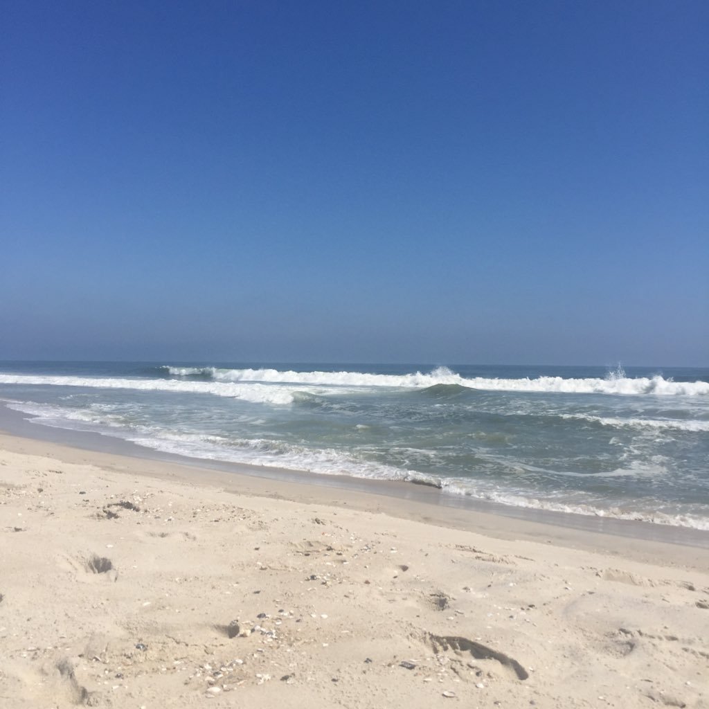 njcommuting's profile picture. 