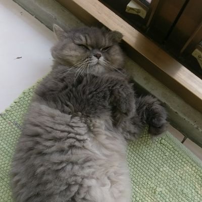 TIAMPOWEN_C's profile picture. 