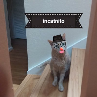 Incatnito1 Profile Picture