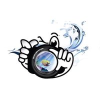 Snapshot Cameras (@snapshotcairns) 's Twitter Profile
