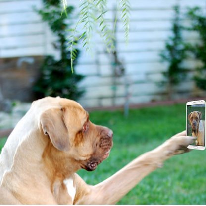 jenifer_dan1's profile picture. 