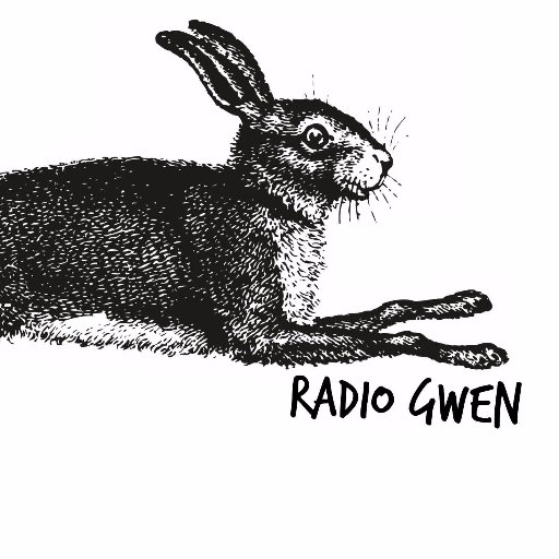 Culture radio born, bred and rocking in Chiasso, Switzerland. 

#radiogwen #likeswomenandmen #GwenInDAB #GwenPlus