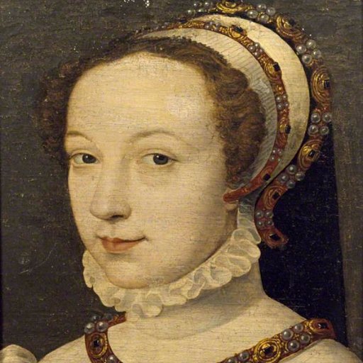 Directrice du Musée Ducastel-Vera,
responsable des collections patrimoniales. PHD. Renaissance française, portraits (Clouet, Corneille de Lyon etc.)