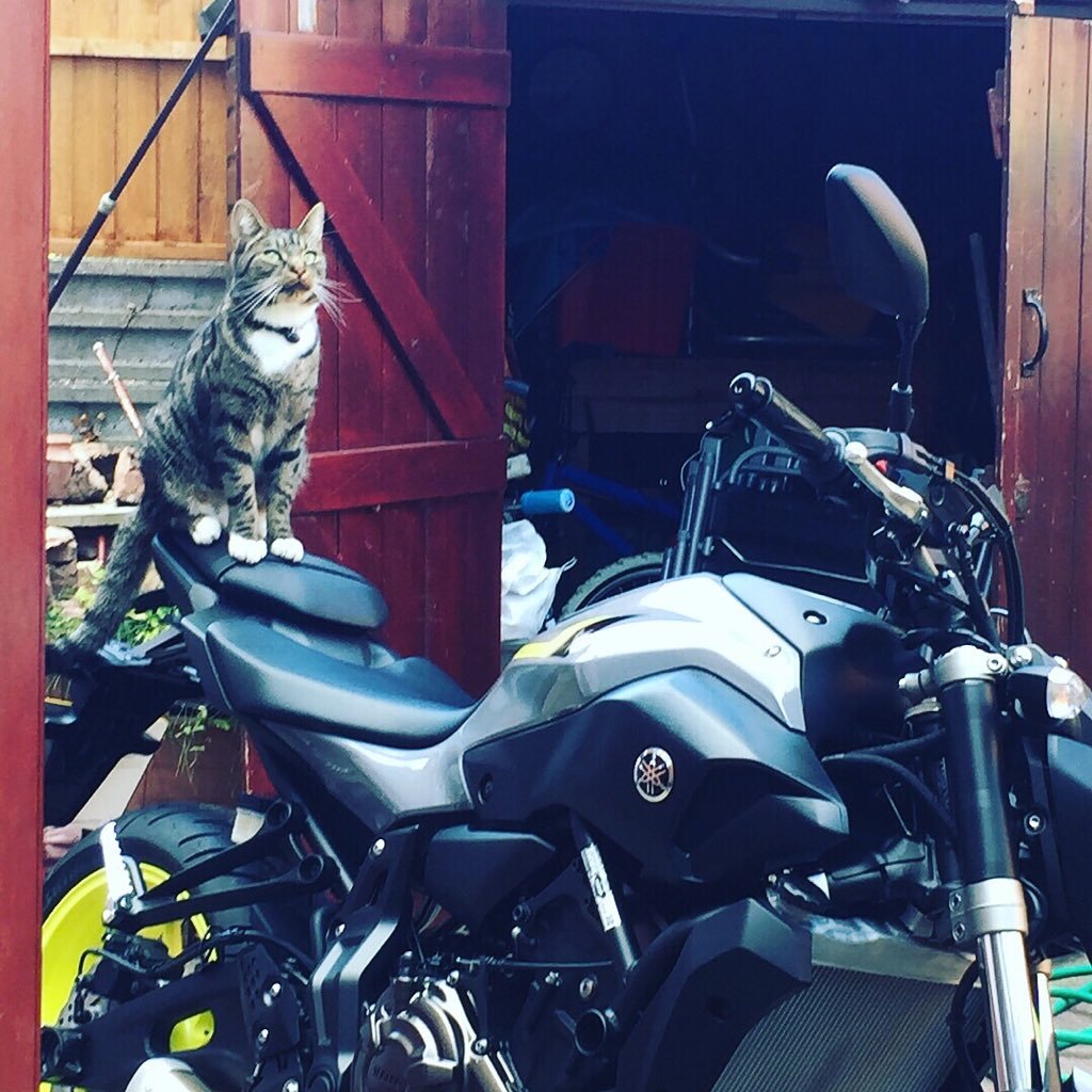 Proud dad of twins! married to my best friend! midlands carper! proud owner of Yamaha MT-07