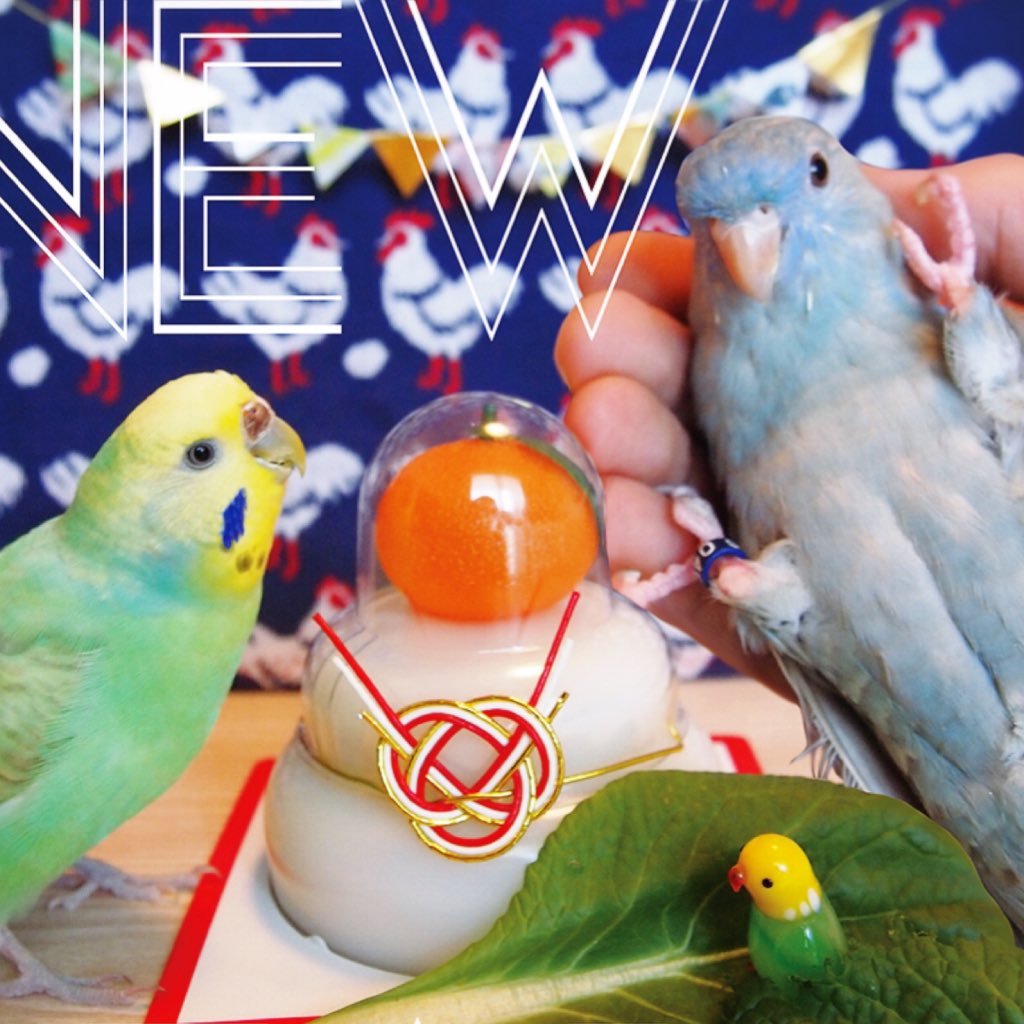 neri💐🦜さんのプロフィール画像