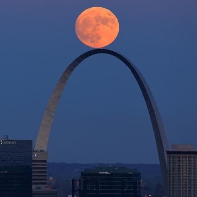 EdlemonSandra's profile picture. LOVE AMERICA & OUR PRESIDENT TRUMP
🇺🇸🇺🇸🇺🇸WINNING🇺🇸👍