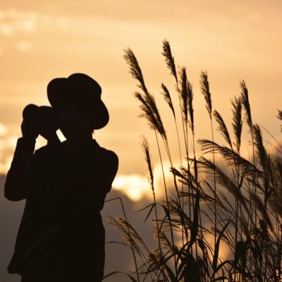 木陰さんのプロフィール画像