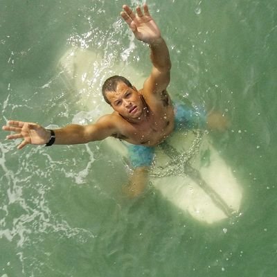 alegarciamacedo's profile picture. 