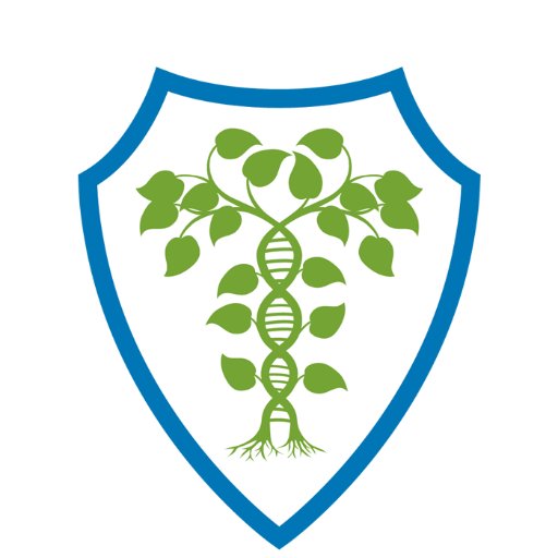 mdvisionpvtltd's profile picture. MDVision offers Certified Practice Management and EHR software exclusively designed to optimize the state of art healthcare experience.
