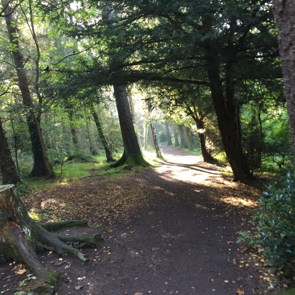 betterlifeni's profile picture. Private Counselling practice, Lisburn-Greater Belfast, private message enquiries welcome, Integrative Therapist, betterlifeni@outlook.com