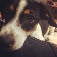 Mk Smith Despres (@mksmithdespres) 's Twitter Profile