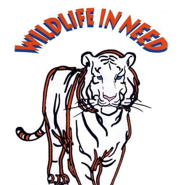 WildlifeInNeed1's profile picture. We provide rescue, rehabilitation & release for indigenous wildlife; and a safe harbor to an array of exotic & endangered species while educating our community.