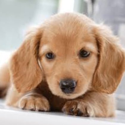 fdj__love6's profile picture. 25↑ 取引経験多数　ドタキャン× 仕事上お返事が遅れますが必ず連絡します