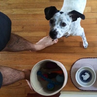 sucregreg's profile picture. I love your dog too