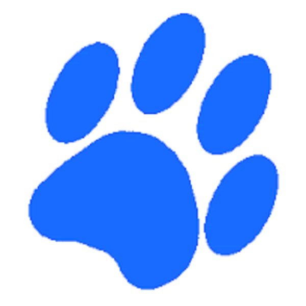 segugioannunci1's profile picture. https://t.co/VpceQUC6eq è il sito di annunci gratuito che ti permette mettere in evidenza tutto ciò che vuoi vendere oppure tutto ciò che vuoi comprare...