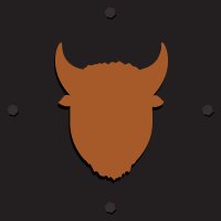 Bison Built (@bisonbuilt) 's Twitter Profile