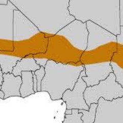 Researcher in the Sahel Region