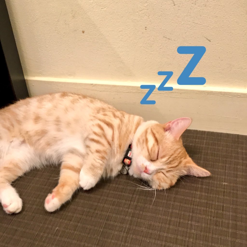 ひたすら脳みそを垂れ流していく|Twitter然|としたアカウント。つぶやくときはめっちゃつぶやく。軽めも重めも好きなので苦手な人は注意。オクトラ大陸の覇者プレイ中。